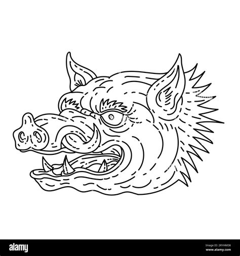 Head Of Angry Razorback Wild Hog Or Feral Pig Monoline Line Art Drawing