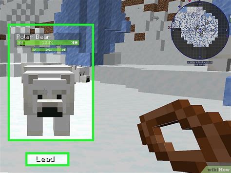 Can You Tame a Polar Bear in Minecraft? Taming Workaround