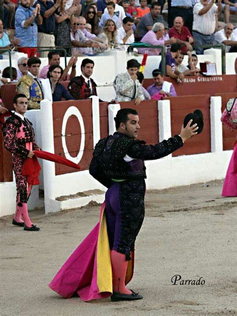 David Lorente Toros Y Toreros Toros Torera