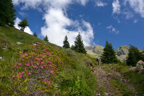 Le più belle passeggiate ed escursioni a Tresivio Outdooractive