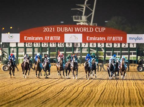 Dubai World Cup Race 2024 - Dania Tammie