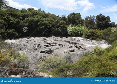 Active Mud Pool in Te Puia Thermal Reserve in Rotorua, New Zealand ...