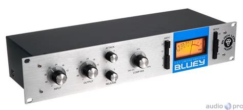 AudioPro Black Lion Audio Bluey Limiter Blue Stripe Compressor