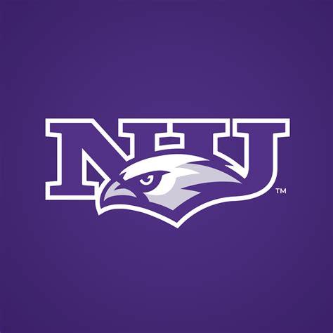 Niagara University Purple Eagles by Dave Raffin on Dribbble