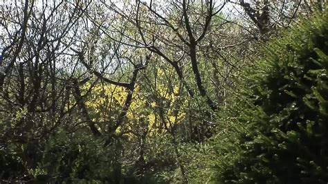 Anal Boyfriends Vol Anal No Condom Gay Bareback Porn Xhamster