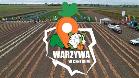 Warzywa W Centrum Pomidor Przemys Owy Do Czy Do Grona Warzyw W