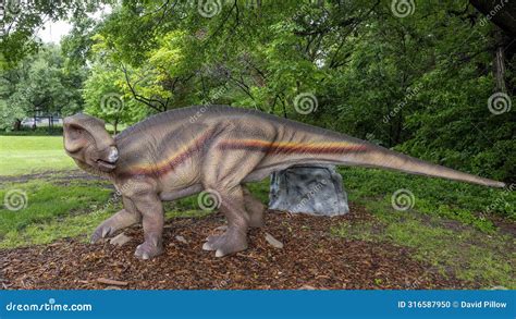 Iguanodon Dinosaur Sculpture On Display At The Fort Worth Botanic