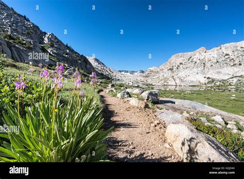 On John Muir Trail Sierra Nevada Mountains California United States