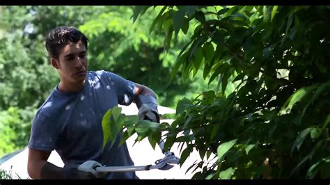 Amanda Fox L Amante Di Cazzi Duri Free Porn 69 XHamster