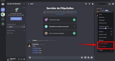 Como Colocar Bots No Discord E Onde Baixar Os Melhores