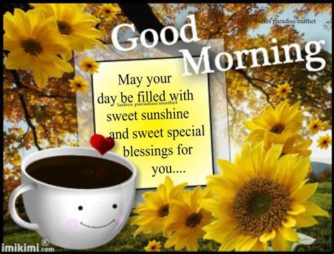 Wednesday Good Morning Sunshine Quotes