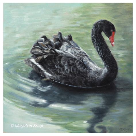 Black swan paintings - bird art by Marjolein Kruijt artist [FOR SALE]