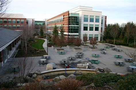 Microsoft Campus Courtyard With Fountain