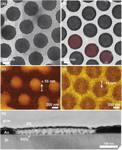 Sem Images Of Arrays Of A Hierarchical Nanopores And B Concentric