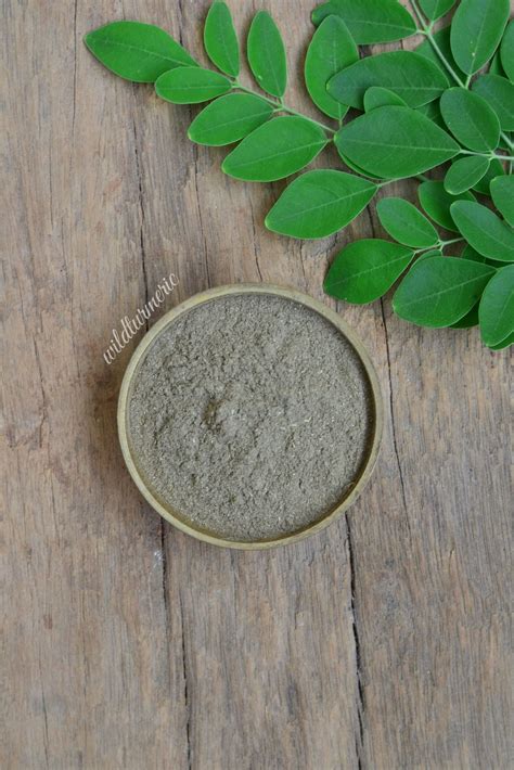 6 Top Benefits Of Moringa Powder Wildturmeric