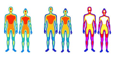 Set Of Cartoon Body Warmth Thermogram Man And Woman Vector Flat