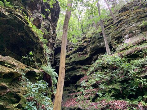 Equestrian Campground — Ferne Clyffe State Park Goreville Il