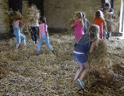 Reitschule Hof Tannhorst Thema Voltigieren