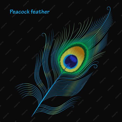 Premium Vector Peacock Feather On Black Background