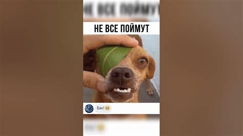 еба.. - YouTube