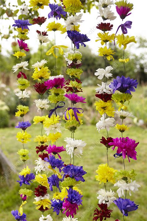 Flower Curtain Stock Image C Science Photo Library