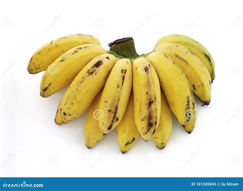 Bunch Of Ripe Mini Bananas Or Baby Bananas Bio Small And Extra Sweet