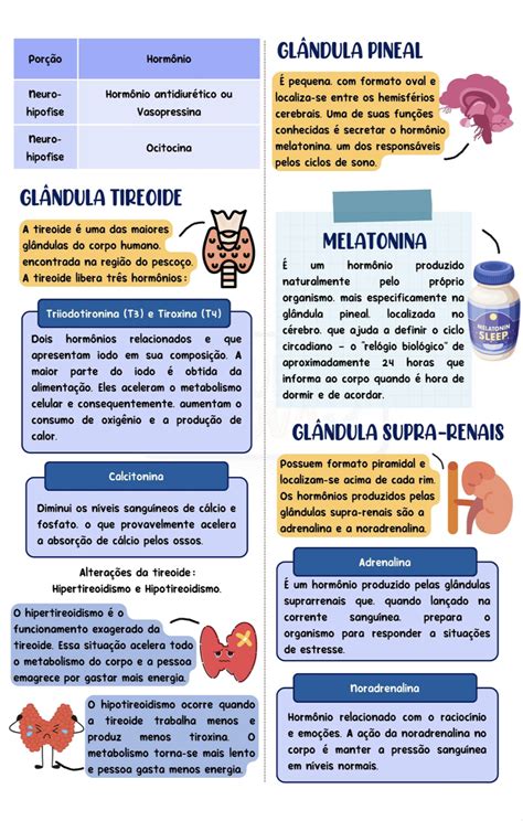 Resumos De Anatomia Humana Resumos Hotmart