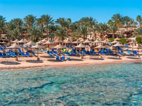 Bravo Tamra Beach Sharm El Sheikh Nabq Mar Rosso Haraka Viaggi