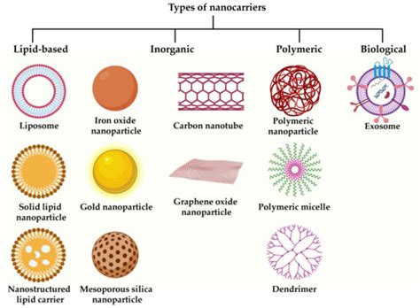 Cancers Free Full Text A Recent Review On Cancer Nanomedicine