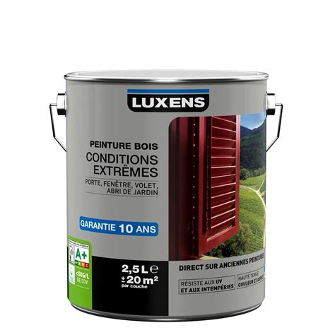 Peinture bois extérieur Conditions extrêmes LUXENS gris galet n3 2 5