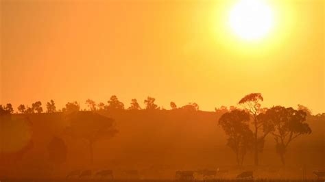 Could Nsw Drought Lead To Sydney Water Restrictions Sbs News