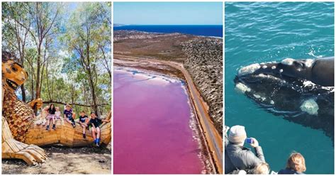 4 Reasons Why Western Australia Should Be Your Next Destination