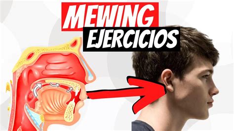 Mewing Ejercicios Todo Lo Que Necesitas Saber Youtube