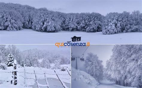 Freddo Artico E Neve L Inverno Vero Alle Porte Sila Pronta A Fare