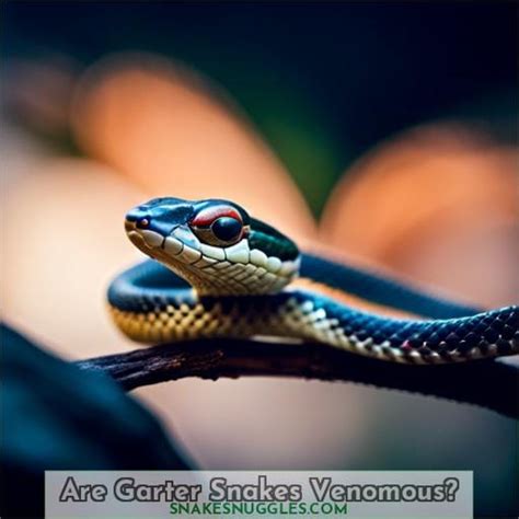 Catch that Garter Snake! Tips for Safe Handling of Our Garden's ...