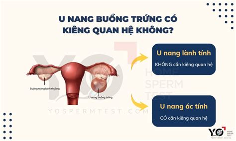 Mổ u nang buồng trứng kiêng quan hệ bao lâu