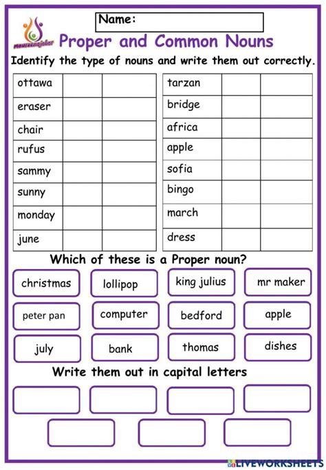 Common And Proper Nouns Worksheet For Class 4