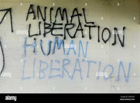 Animal Liberation Front graffiti Stock Photo - Alamy