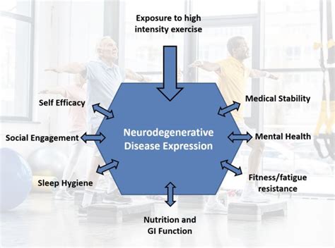 Neuroplasticity Exercise And Parkinson S Davis Phinney Foundation