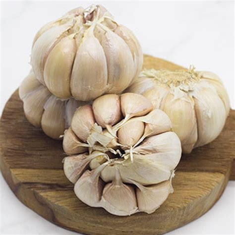 Jual Bawang Putih Honan Garlic Grade A Kg Jangan Lupa Beli Kardus