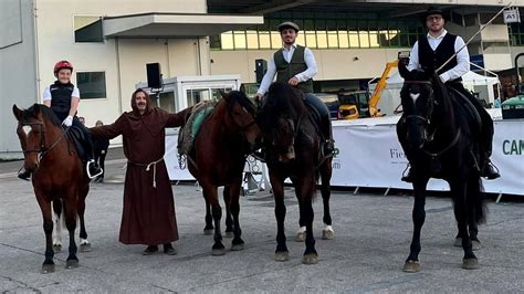 Protagonisti A Eurocheval 2022 Il Cavallo Del Catria Cavallo Magazine