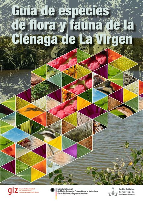 PDF Guía de especies de flora y fauna de la Ciénaga de La Virgen Flora