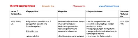 Pflegeplanung Thrombose Einfach Und Schnell Mit Muster