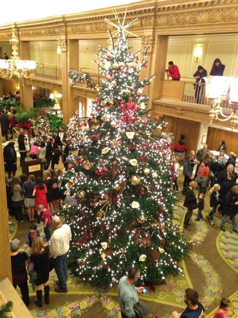 Best Holiday Bars in Seattle for Christmas Drinking - Thrillist