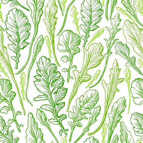 Arugula Texture Seamless Pattern Fresh Green Leaf Stock Vector