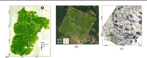 Figure From Comparing Canopy Density Measurement From Uav And