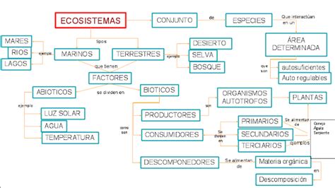 Biolog A Iv Mapa Conceptual De La Pr Ctica De Ecosistemas