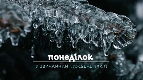 Бурдюки і вино - YouTube