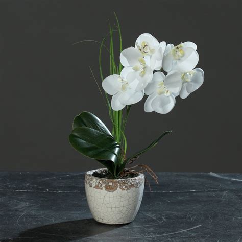 Orchidee Im Topf Naturel Creme 24 Cm Kunstblume Von DPI 11 98