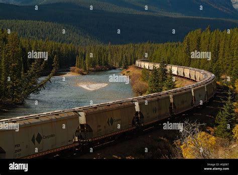 Canadian Pacific Railway Train On Morants Curve Bow Valley Parkway